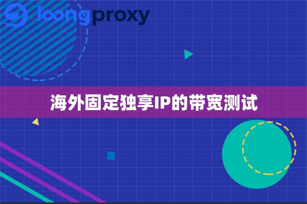 海外固定独享IP的带宽测试