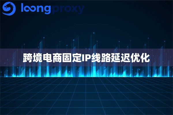 跨境电商固定IP线路延迟优化