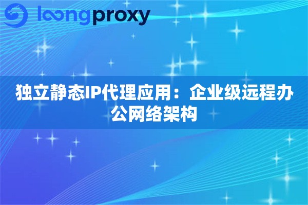 独立静态IP代理应用：企业级远程办公网络架构