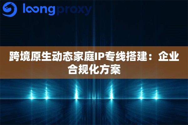 跨境原生动态家庭IP专线搭建：企业合规化方案