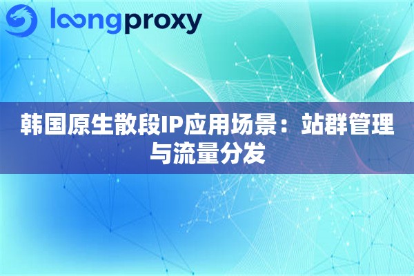 韩国原生散段IP应用场景：站群管理与流量分发