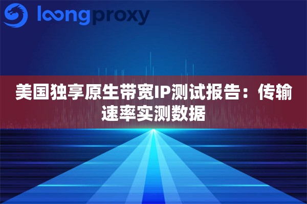 美国独享原生带宽IP测试报告：传输速率实测数据