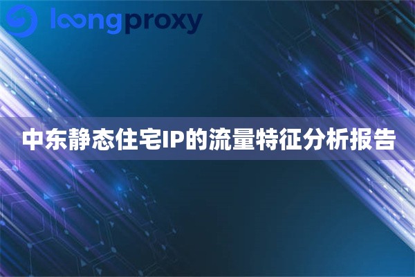 中东静态住宅IP的流量特征分析报告