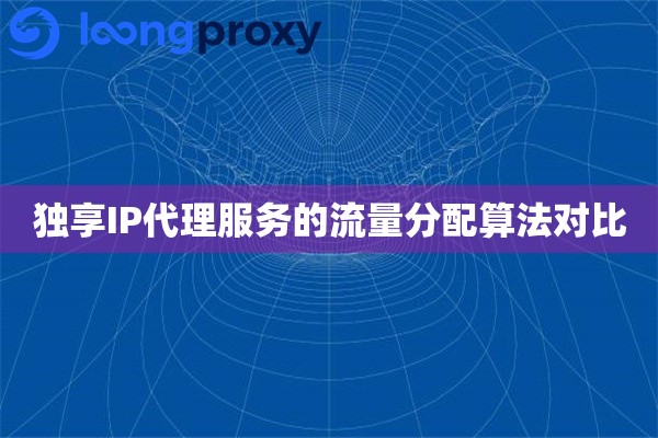 独享IP代理服务的流量分配算法对比
