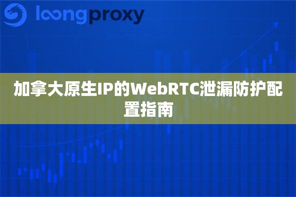 加拿大原生IP的WebRTC泄漏防护配置指南