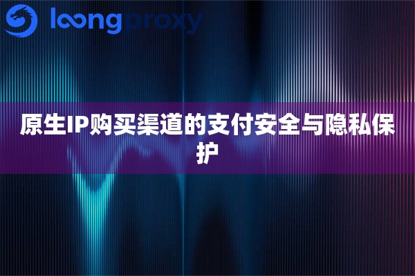 原生IP购买渠道的支付安全与隐私保护