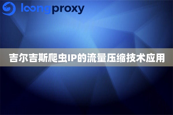吉尔吉斯爬虫IP的流量压缩技术应用