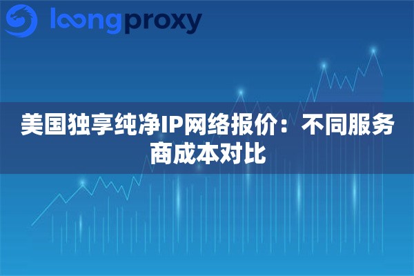 美国独享纯净IP网络报价：不同服务商成本对比