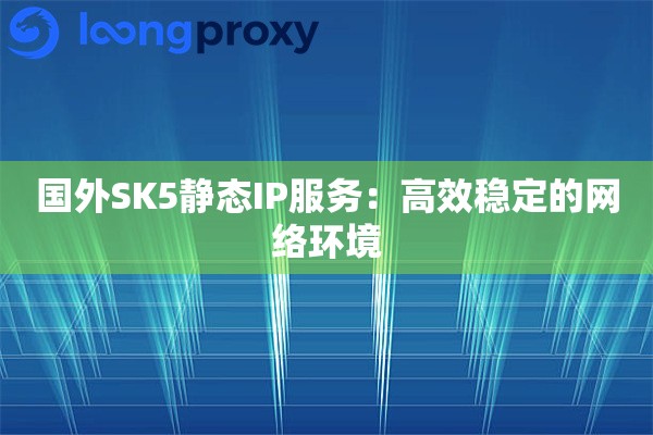 国外SK5静态IP服务：高效稳定的网络环境