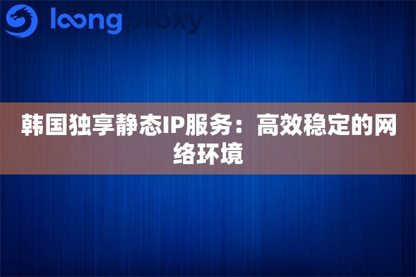 韩国独享静态IP服务：高效稳定的网络环境