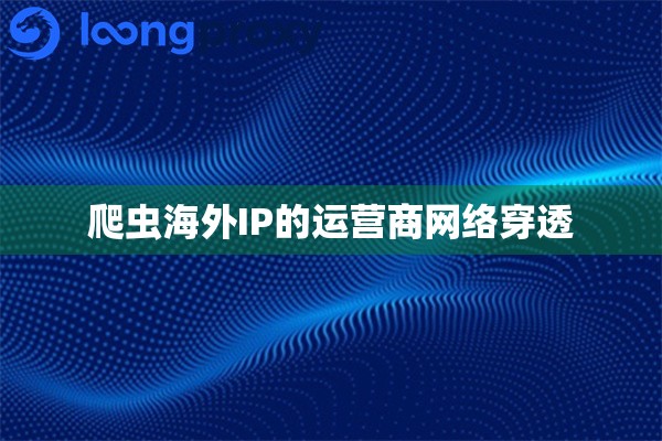 爬虫海外IP的运营商网络穿透