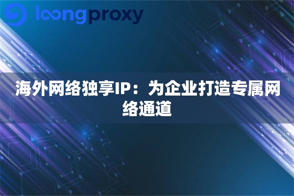 海外网络独享IP：为企业打造专属网络通道