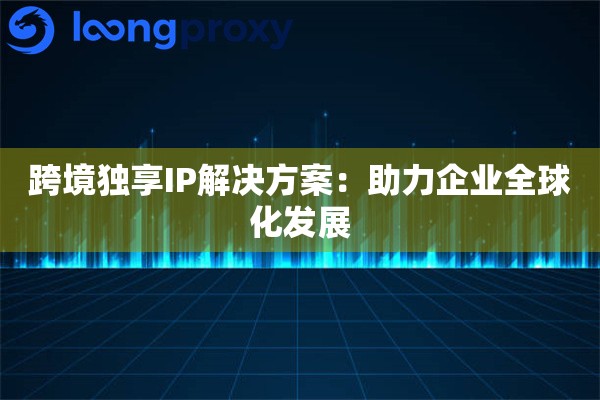跨境独享IP解决方案：助力企业全球化发展