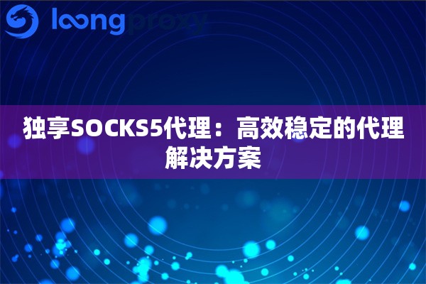 独享SOCKS5代理：高效稳定的代理解决方案