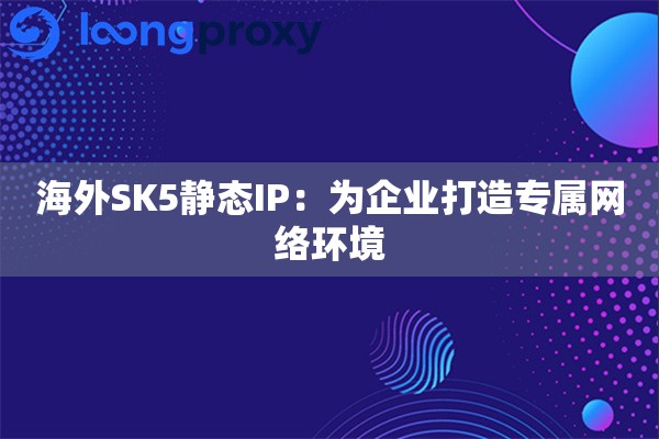 海外SK5静态IP：为企业打造专属网络环境