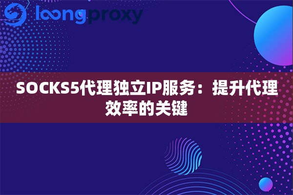 SOCKS5代理独立IP服务：提升代理效率的关键