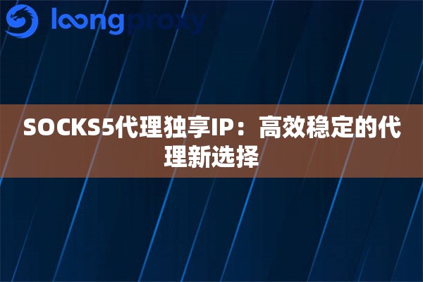 SOCKS5代理独享IP：高效稳定的代理新选择