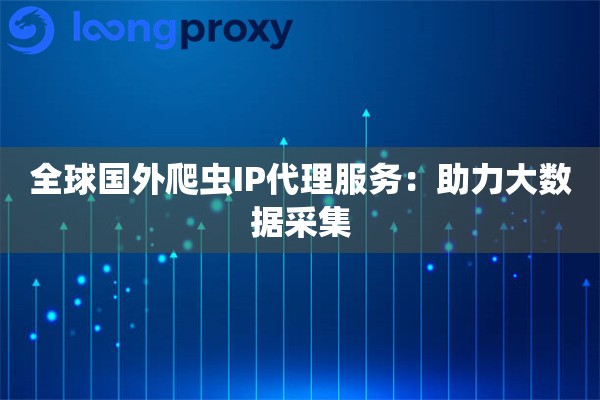 全球国外爬虫IP代理服务：助力大数据采集