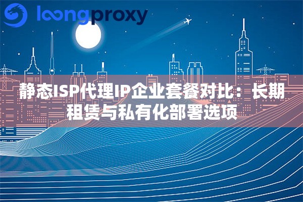 静态ISP代理IP企业套餐对比：长期租赁与私有化部署选项