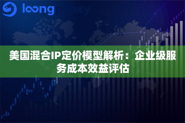 美国混合IP定价模型解析：企业级服务成本效益评估