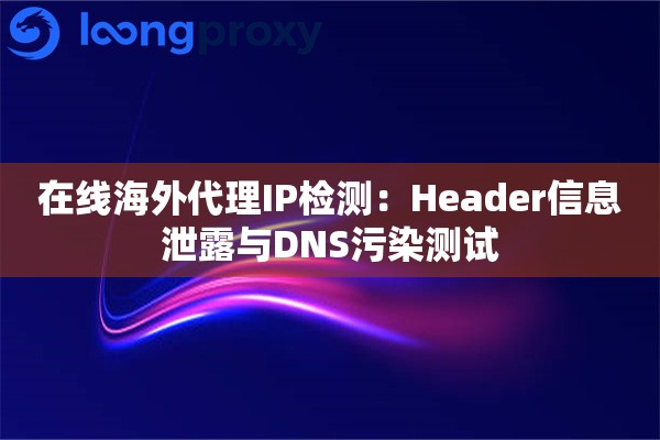 在线海外代理IP检测：Header信息泄露与DNS污染测试