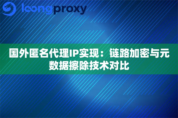 国外匿名代理IP实现：链路加密与元数据擦除技术对比