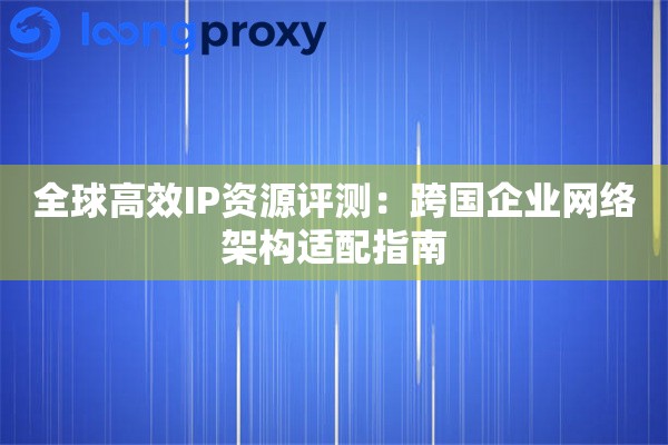 全球高效IP资源评测：跨国企业网络架构适配指南