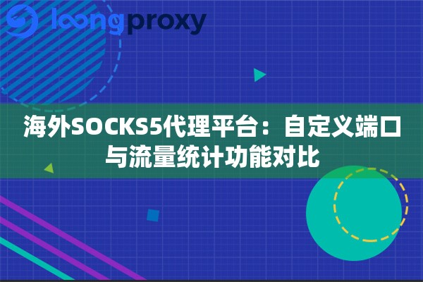 海外SOCKS5代理平台：自定义端口与流量统计功能对比