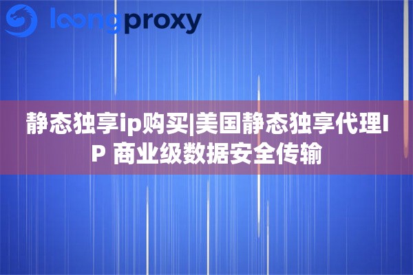 静态独享ip购买|美国静态独享代理IP 商业级数据安全传输