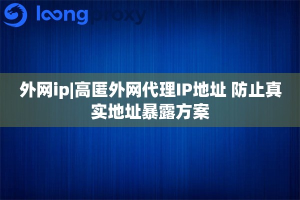 外网ip|高匿外网代理IP地址 防止真实地址暴露方案