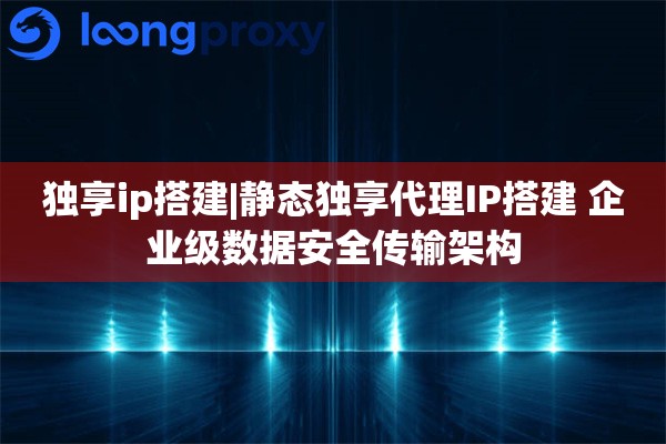 独享ip搭建|静态独享代理IP搭建 企业级数据安全传输架构