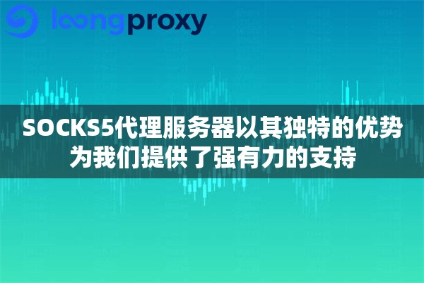 SOCKS5代理服务器以其独特的优势为我们提供了强有力的支持