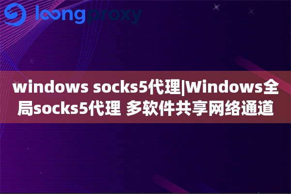 windows socks5代理|Windows全局socks5代理 多软件共享网络通道配置