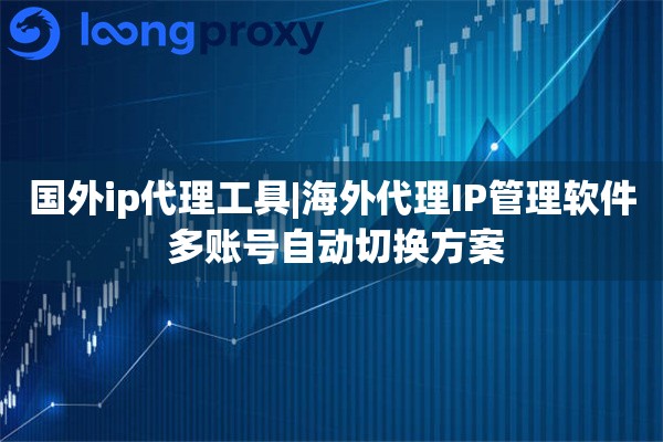 国外ip代理工具|海外代理IP管理软件 多账号自动切换方案