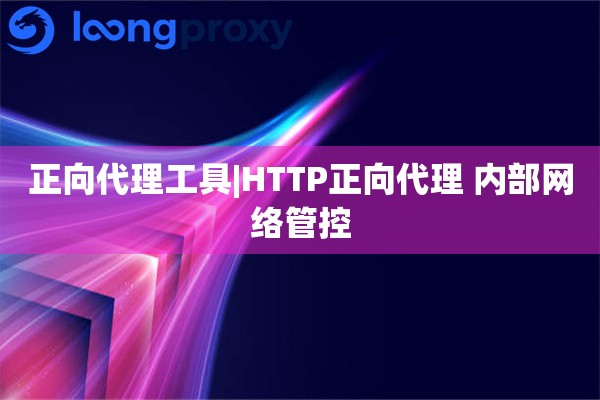 正向代理工具|HTTP正向代理 内部网络管控