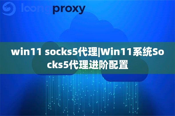 win11 socks5代理|Win11系统Socks5代理进阶配置