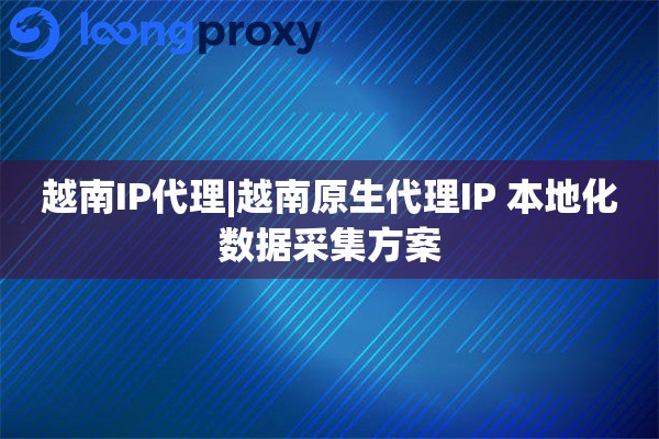 越南IP代理|越南原生代理IP 本地化数据采集方案