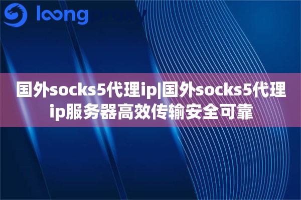 国外socks5代理ip|国外socks5代理ip服务器高效传输安全可靠