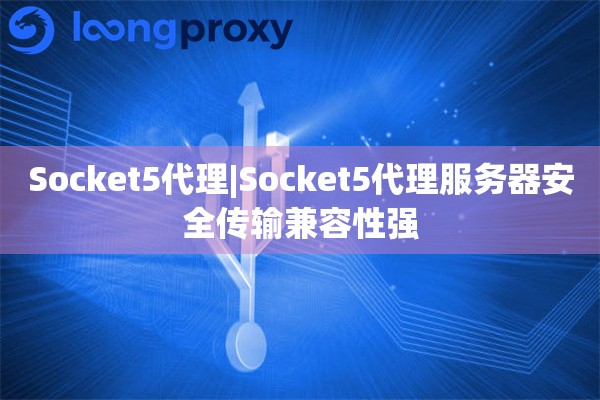 Socket5代理|Socket5代理服务器安全传输兼容性强