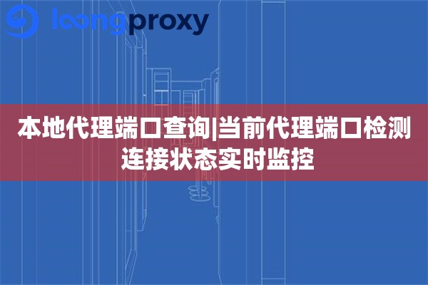 本地代理端口查询|当前代理端口检测 连接状态实时监控