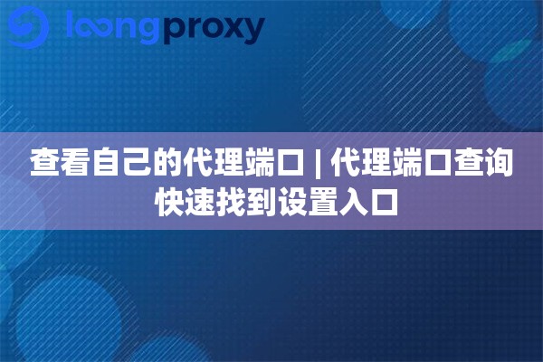 查看自己的代理端口 | 代理端口查询 快速找到设置入口