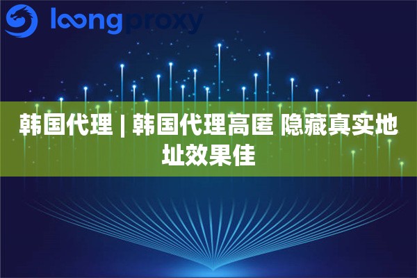 韩国代理 | 韩国代理高匿 隐藏真实地址效果佳