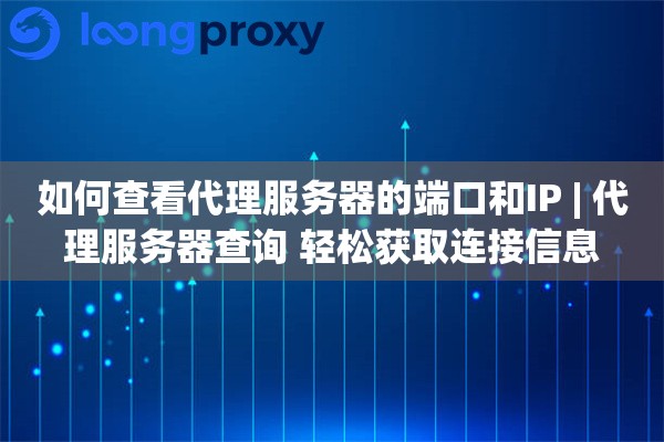 如何查看代理服务器的端口和IP | 代理服务器查询 轻松获取连接信息