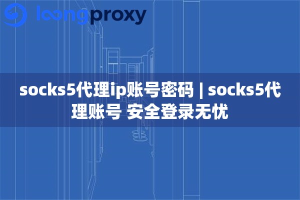 socks5代理ip账号密码 | socks5代理账号 安全登录无忧