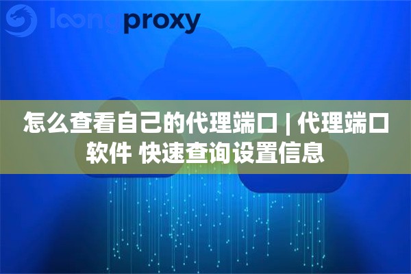 怎么查看自己的代理端口 | 代理端口软件 快速查询设置信息