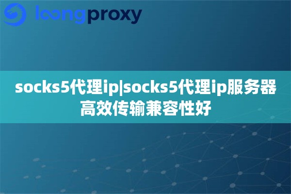 socks5代理ip|socks5代理ip服务器高效传输兼容性好