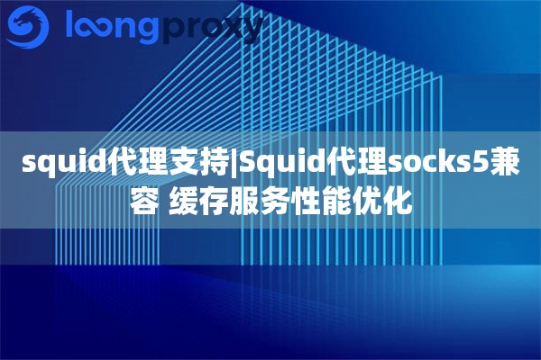 squid代理支持|Squid代理socks5兼容 缓存服务性能优化