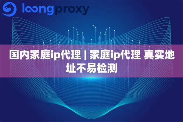 国内家庭ip代理 | 家庭ip代理 真实地址不易检测