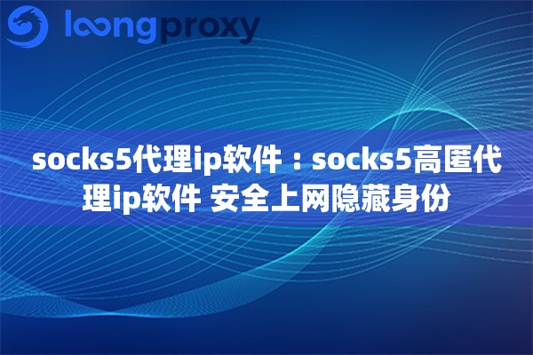 socks5代理ip软件 : socks5高匿代理ip软件 安全上网隐藏身份