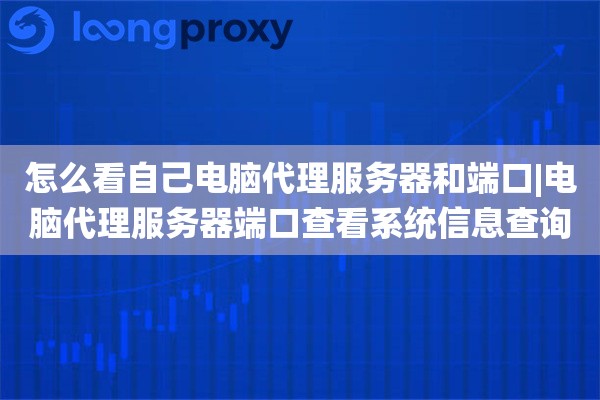 怎么看自己电脑代理服务器和端口|电脑代理服务器端口查看系统信息查询